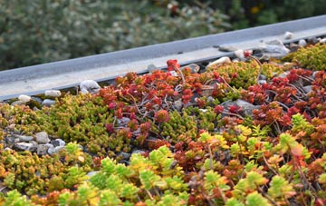 the cost of Upton Lea green roof installation