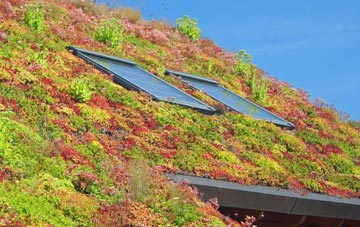 Upton Lea living roof systems